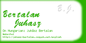 bertalan juhasz business card
